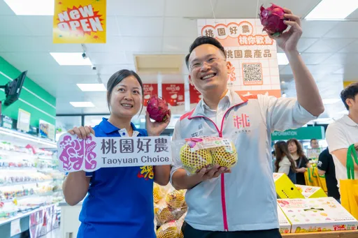 「文青副市长」手绘火龙果行销桃园小农　脸书成了邀画「许愿池」