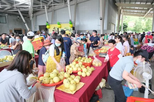 新埔水梨節熱鬧登場 邀民眾暢遊新埔嘗甜脆水梨