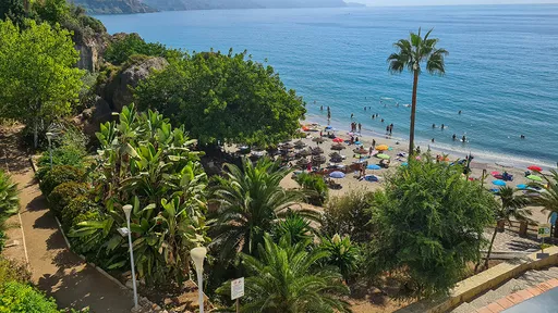 旅遊勝地海岸要重罰「海裡尿尿」 眾人吐槽:派水母抓嗎