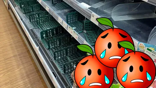 颱風賣場菜架清空「剩它滿格」　網友狂問：到底怎麼了？