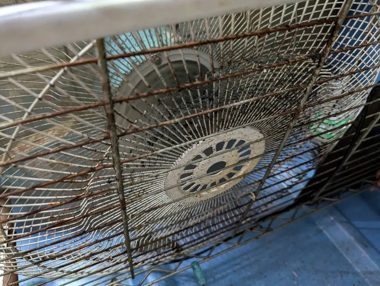 台北市內湖區一間涼麵店傳出疑似食物中毒事件，台北市衛生局稽查後發現多項缺失。台北市衛生局提供