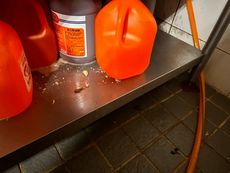 北市衛生局前往金仙滷肉飯松山店稽查發現缺失。北市衛生局提供