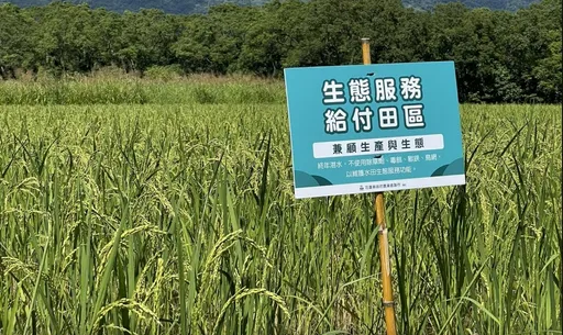 台灣產日本清酒「天衡」首推即奪國際大獎 攜手花蓮青農推動產業永續發展