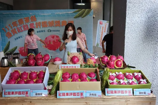 台灣紅肉紅龍果首次外銷日本4.8公頓 8年努力終見成果