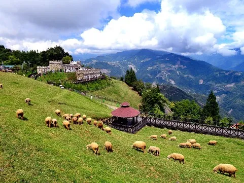 修法讓農場開放光電被質疑破壞景觀！退輔會說明「不含高山土地」