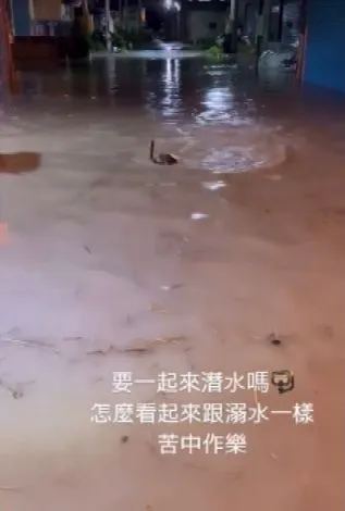 還有人在馬路上潛水。翻攝臉書「~~我愛鹿港小鎮~~2」