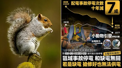 停電賴小動物?台電秀數據喊冤 強調「跳電跟缺電完全無關」