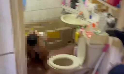 詐欺男自宅當兵工廠藏手榴彈　30警破門攻堅他蹲廁落網