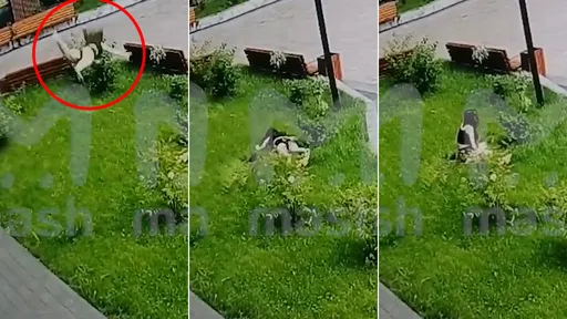 驚悚影片｜22歲女墜13樓奇蹟保命　重擊1樓「零骨折」自己坐起來