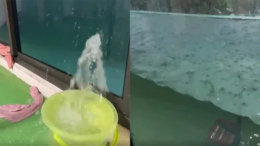 雨彈炸高雄 民宅陽台慘變「大型水族箱」!恐怖景象看了好心驚