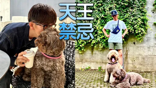 木村拓哉上街遛狗画面曝光 舆论歪楼全在讨论「他到底多高」