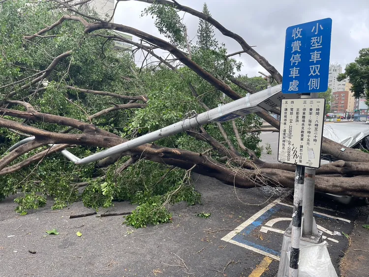 台中市北區有路燈被倒塌的路樹壓到腰折。民眾提供