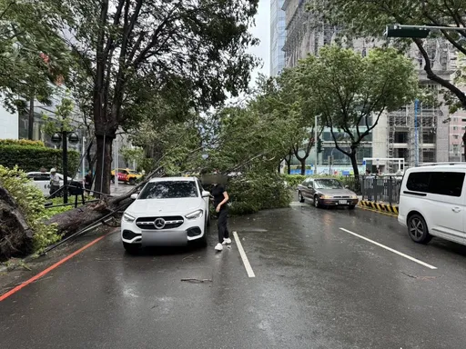 台中新光三越旁樹倒砸2車!賓士遭殃 北區路燈也遭砸腰折