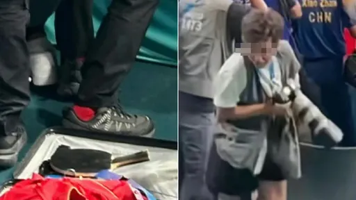 巴黎奧運|踩斷王楚欽球拍是他? 中國網友辦案鎖定一名攝影師