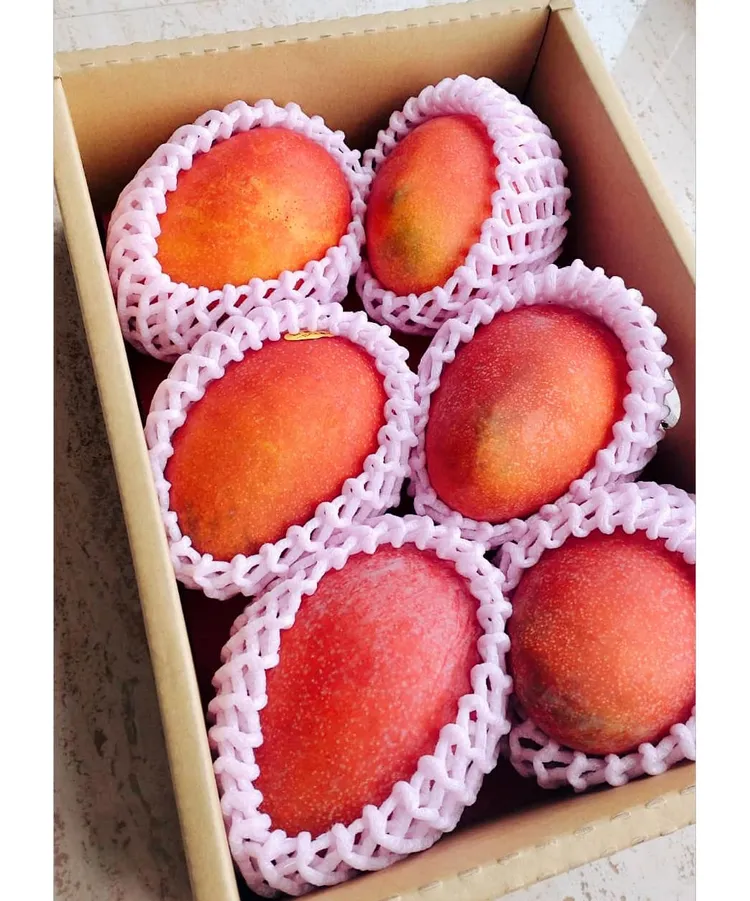 田中千繪空運水果回日本，媽媽好驚喜一聽金額卻愣住了。翻攝田中千繪臉書