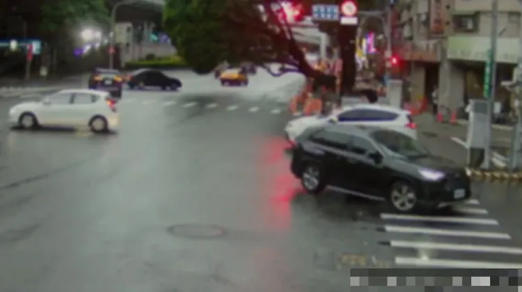 監視器拍下路樹倒塌瞬間。警方提供