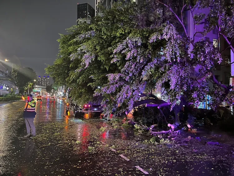 公所人員到現場排除。警方提供