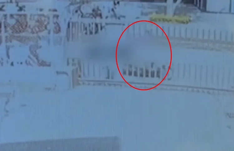 嫌犯對準老婦人下手。警方提供