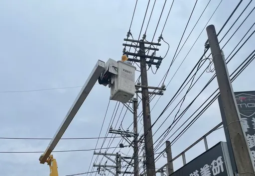 真的不能怪台電！桃園這區2631戶停電　凶手是「牠」