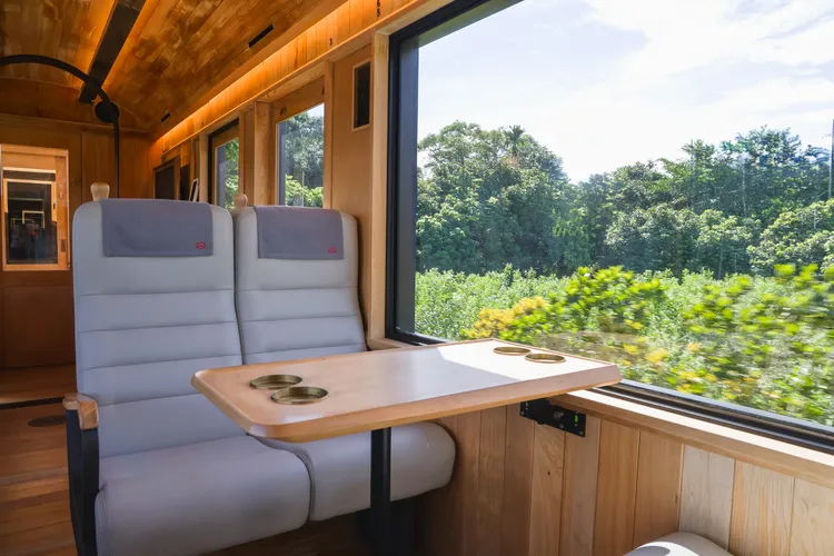 福森號沿途停靠導覽許多特色站點，除了阿里山園區內的祝山、二萬坪外，在前往十字路的緩行路段，可沿路欣賞仙境般的竹林及豐富林相。業者提供