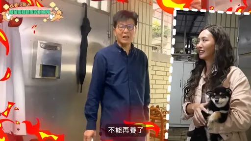 薔薔帶2超萌小柴犬回家想療癒憂鬱症爸爸  結果GG了