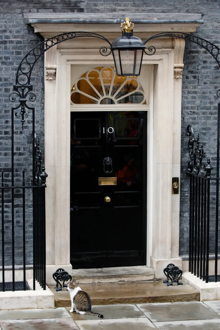 貓咪賴瑞在首相官邸駐守的時間比過去5任首相都久。美聯社