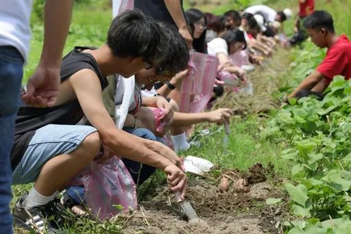 全國首發台日合作! 120日本高校修學旅行感受新北農創魅力