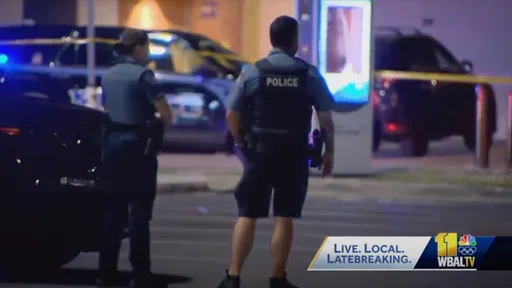 影片|美國馬里蘭州購物中心再現血腥槍擊 17歲少年美食廣場遇害