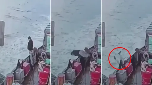 驚人影片｜船員甲板上尿向大海　隨即「被大海收了」消失無蹤