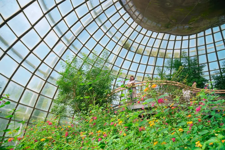 溫室寬敞挑高的造景與環繞步道設計，是許多網美喜愛的打卡點之一。S.H.攝