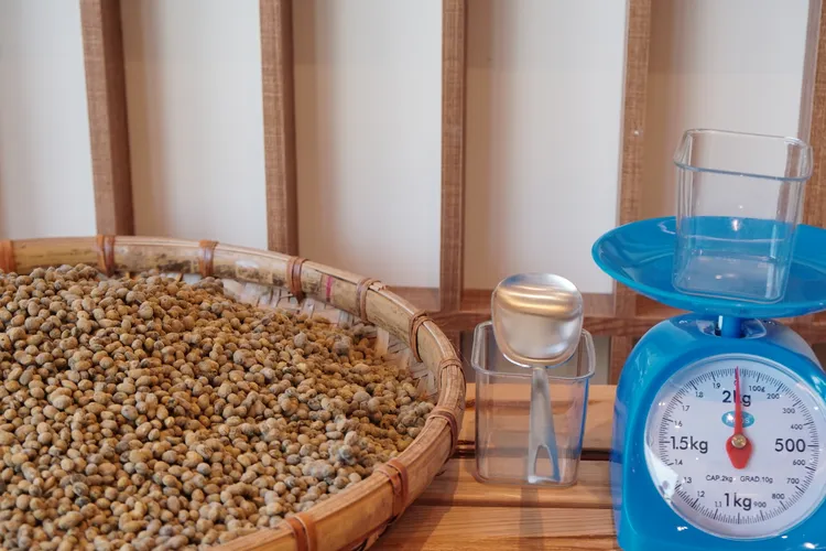 館內提供醬油DIY釀製體驗，需提前預約。S.H.攝