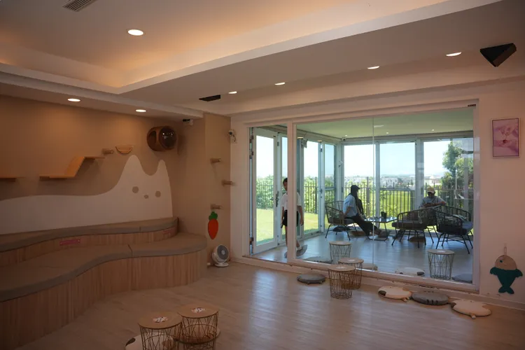 為了保有互動品質以及讓貓店長們的生活空間，每日體驗有分場次，建議旅客提前預約。S.H.攝