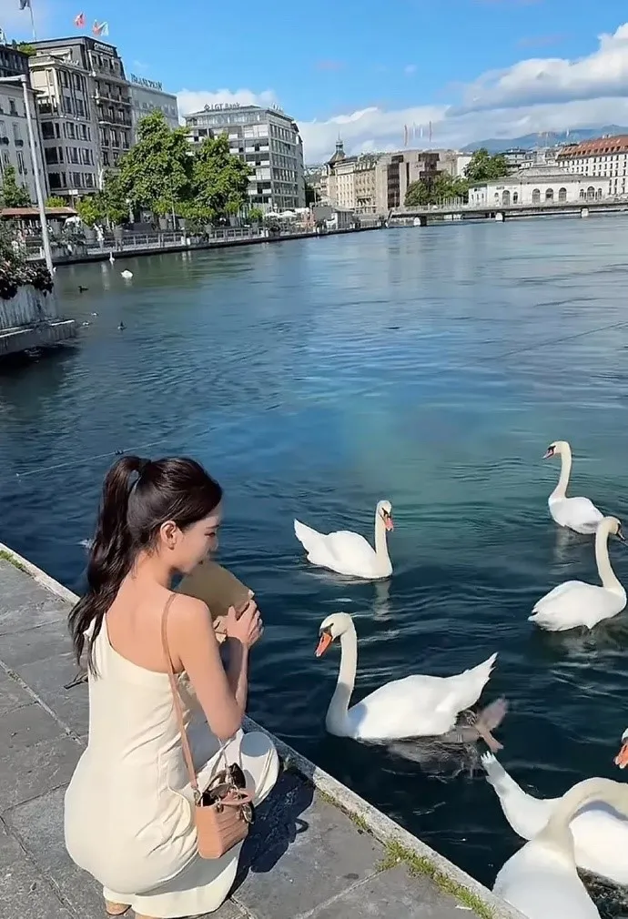Mandy在瑞士餵天鵝。翻攝扒圈兒Reporter小紅書