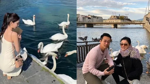 唏噓！汪小菲帶新婚妻瑞士蜜月餵天鵝　結婚8周年帶大S也去過