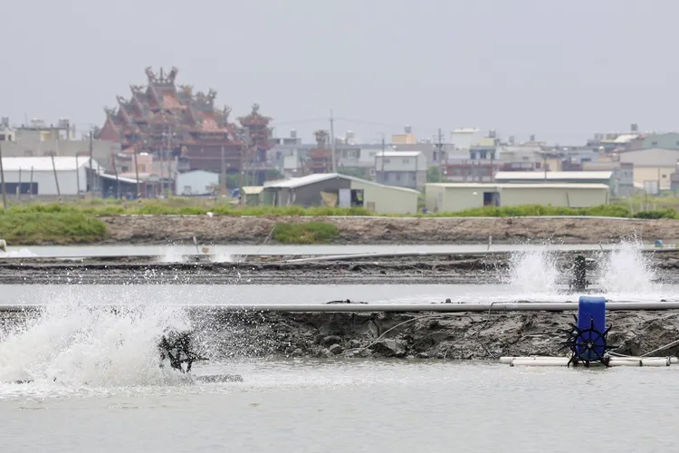 彌陀區虱目魚受影響面積約120公頃，概估魚損金額大約6,000萬元，已向農業部漁業署提出災損影響。市府提供