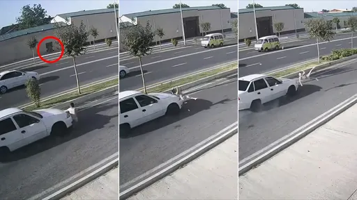 驚悚影片｜等等我～7歲童追同伴急衝馬路　被車撞飛斃命