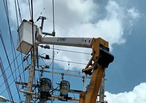 竹縣芎林鄉20多用戶突停電!台電搶修下午1時復電 禍首竟是牠