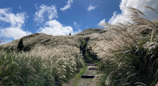 陽明山驚見妹子脫光內衣趴趴走 登山客PO出15張圖!網友一看怒了