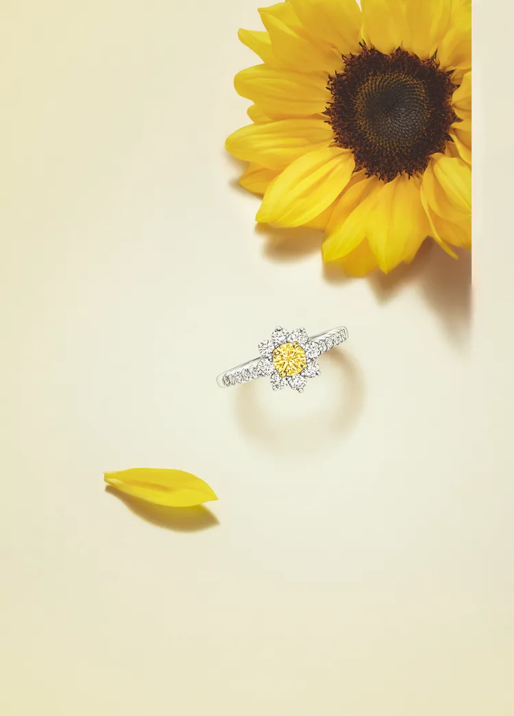 海瑞溫斯頓Sunflower系列黃鑽鑽石戒指。品牌提供