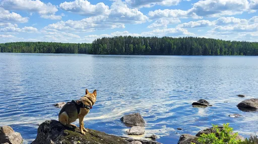 最快樂的人常講這3句話 第3句真是說到心坎裡了