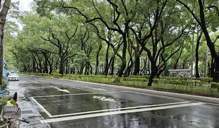 仁愛路三段現況。翻攝自北市公園處官網