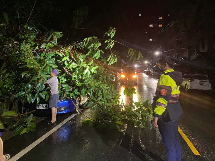 隨著風雨逐漸增強，基隆傳出多起路樹倒塌。翻攝照片
