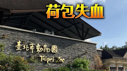 帶小孩去動物園破千元!花費最兇竟是「這項」 家長超傻眼