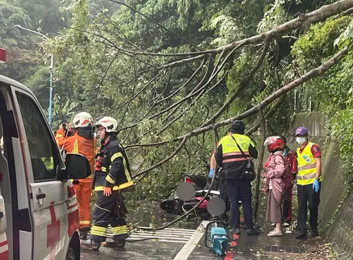 豪大雨土石鬆動樹木傾倒壓傷2騎士　龜山警現場救援排除障礙