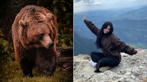 19歲女遭「野熊突襲」墜百米懸崖亡 男友目睹:牠把她拖走了