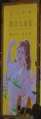 雞排妹寫真照看板已被元和雅拆除。判決書提供