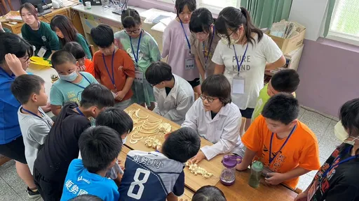 醫學院生帶小朋友解剖豬心　馬偕小小醫學營下鄉培養人才