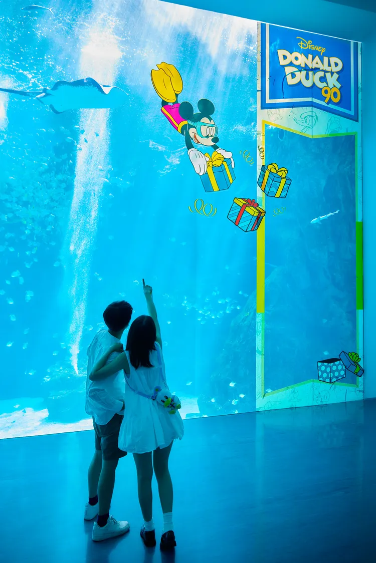 一起遊玩鴨。業者提供