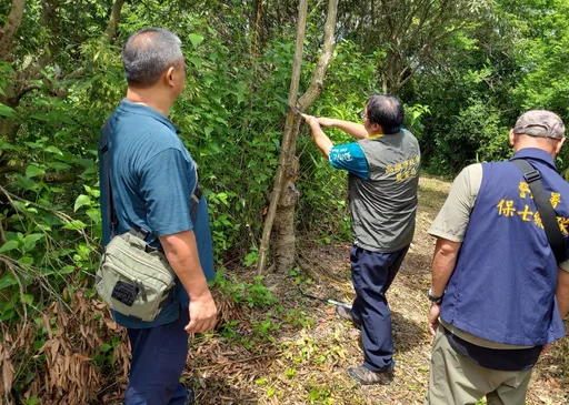 私架鳥網害死飛鳥!農業局立即拆除 呼籲民眾勿任意獵捕野生動物