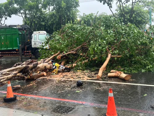 強風吹拂路樹倒壓傷高雄女騎士 凱米強颱首罹難者!64歲女搶救不治